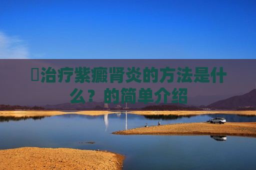 ​治疗紫癜肾炎的方法是什么？的简单介绍