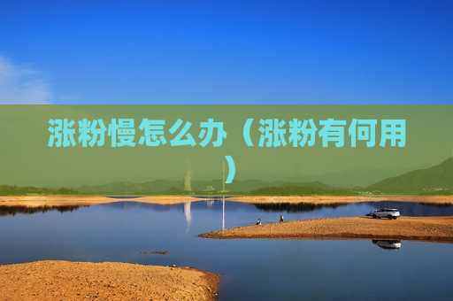 涨粉慢怎么办（涨粉有何用）