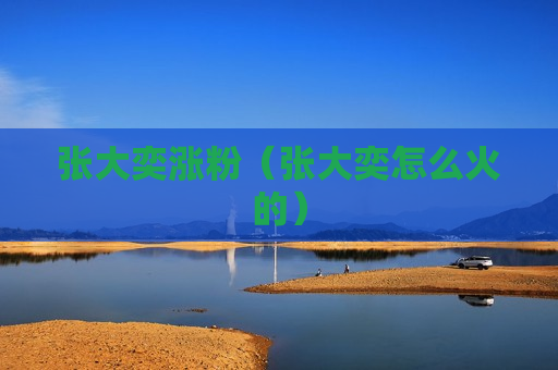 张大奕涨粉（张大奕怎么火的）