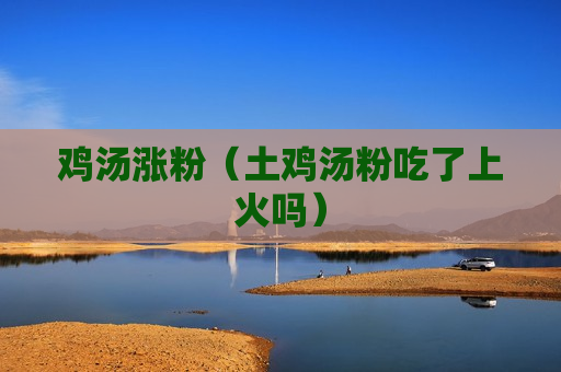 鸡汤涨粉（土鸡汤粉吃了上火吗）