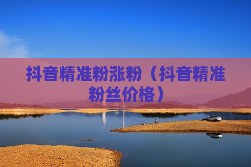 抖音精准粉涨粉（抖音精准粉丝价格）