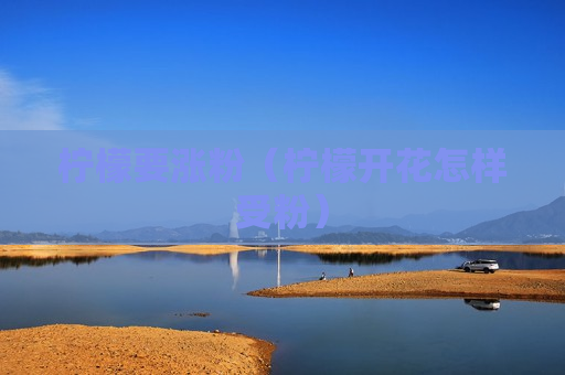 柠檬要涨粉（柠檬开花怎样受粉）
