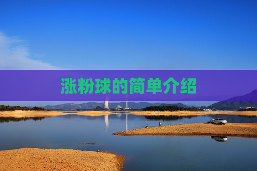 涨粉球的简单介绍