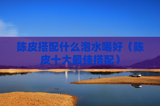 陈皮搭配什么泡水喝好（陈皮十大最佳搭配）