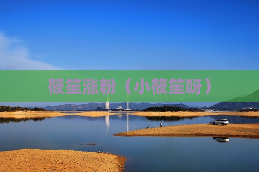 筱笙涨粉（小筱笙呀）