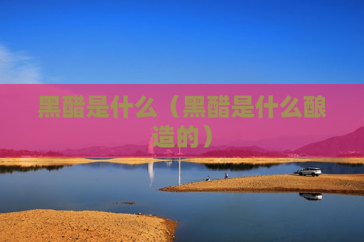 黑醋是什么（黑醋是什么酿造的）
