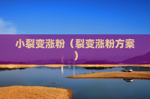 小裂变涨粉（裂变涨粉方案）