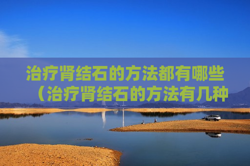 治疗肾结石的方法都有哪些（治疗肾结石的方法有几种）