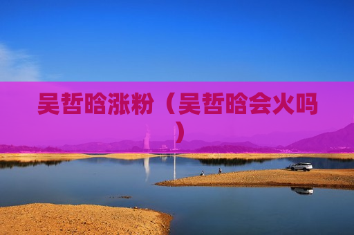 吴哲晗涨粉（吴哲晗会火吗）