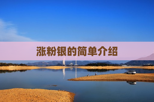 涨粉银的简单介绍