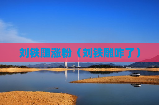 刘铁雕涨粉（刘铁雕咋了）