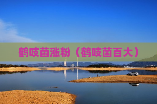 鹤吱菌涨粉（鹤吱菌百大）