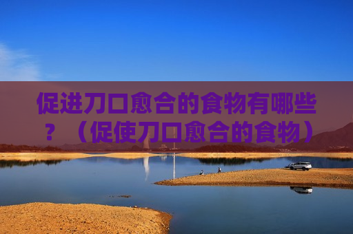 促进刀口愈合的食物有哪些？（促使刀口愈合的食物）