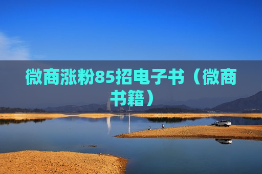 微商涨粉85招电子书（微商书籍）