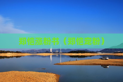 郑恺涨粉书（郑恺宠粉）