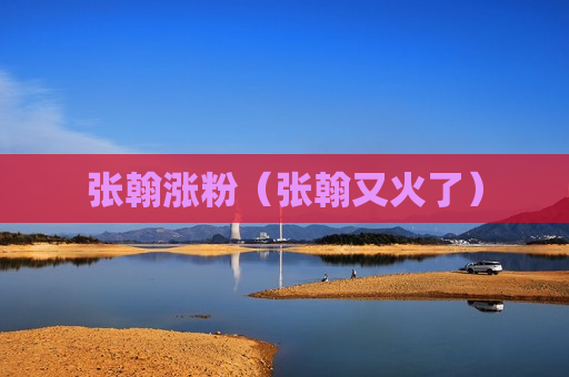 张翰涨粉（张翰又火了）