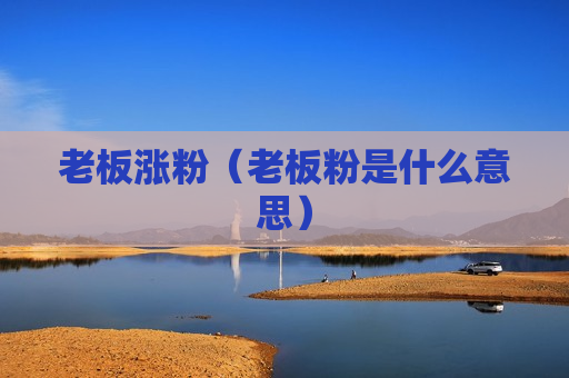 老板涨粉（老板粉是什么意思）
