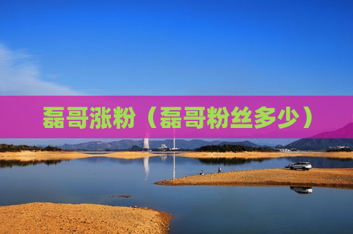 磊哥涨粉（磊哥粉丝多少）