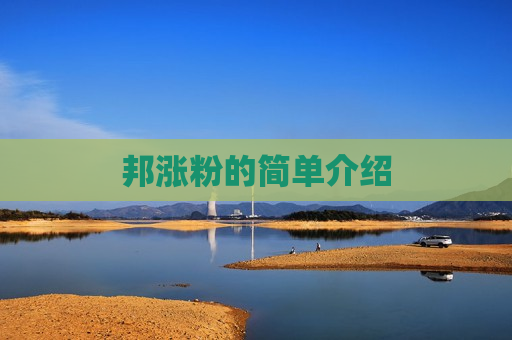 邦涨粉的简单介绍
