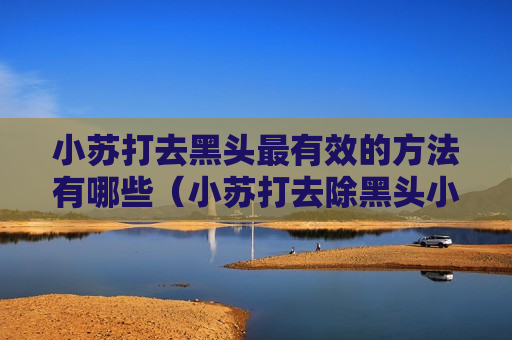 小苏打去黑头最有效的方法有哪些（小苏打去除黑头小妙招）