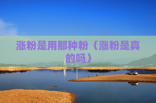 涨粉是用那种粉（涨粉是真的吗）