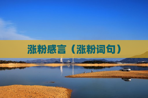 涨粉感言（涨粉词句）