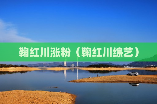 鞠红川涨粉（鞠红川综艺）