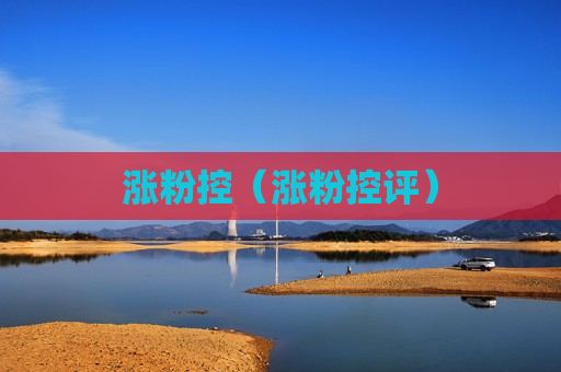 涨粉控（涨粉控评）