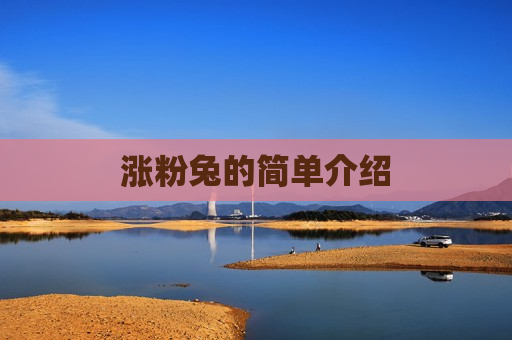 涨粉兔的简单介绍