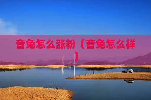 音兔怎么涨粉（音兔怎么样）