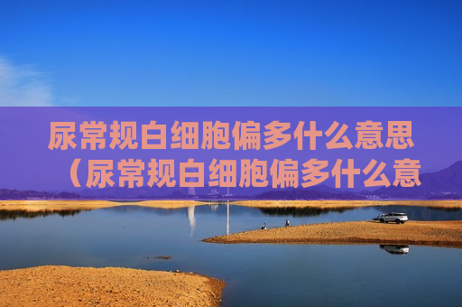 尿常规白细胞偏多什么意思（尿常规白细胞偏多什么意思男性）