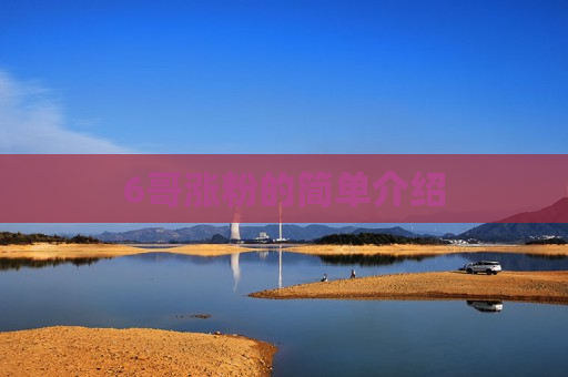 6哥涨粉的简单介绍