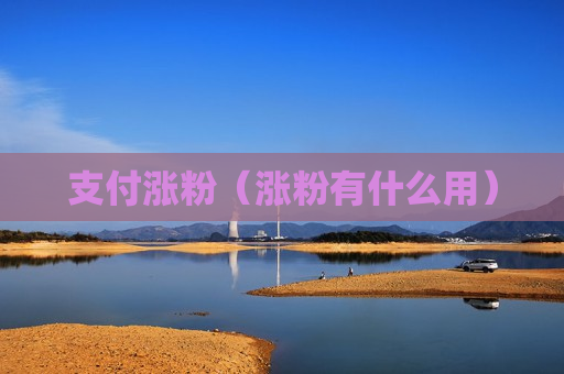 支付涨粉（涨粉有什么用）