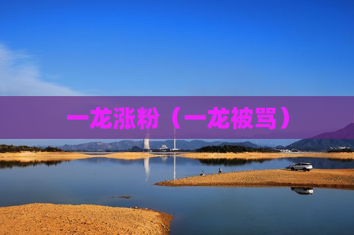 一龙涨粉（一龙被骂）