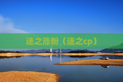 迷之涨粉（迷之cp）