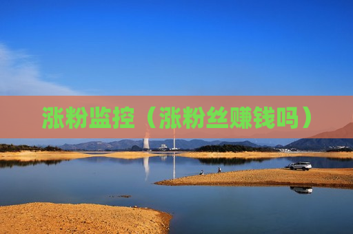 涨粉监控（涨粉丝赚钱吗）