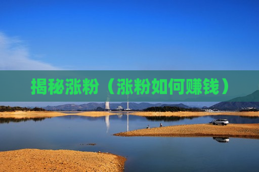揭秘涨粉（涨粉如何赚钱）
