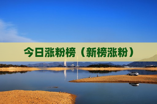 今日涨粉榜（新榜涨粉）