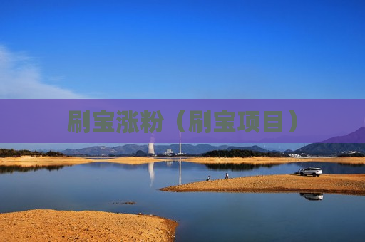 刷宝涨粉（刷宝项目）