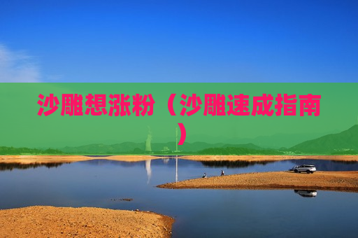 沙雕想涨粉（沙雕速成指南）