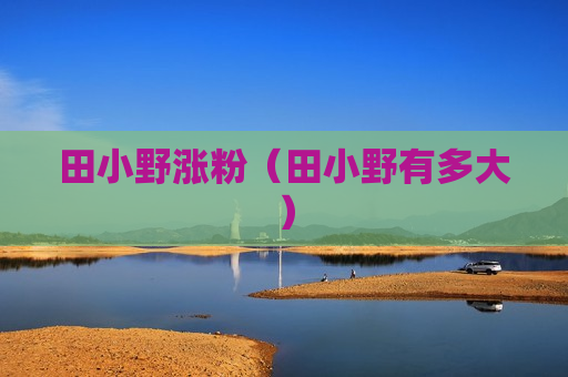 田小野涨粉（田小野有多大）