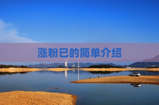涨粉已的简单介绍