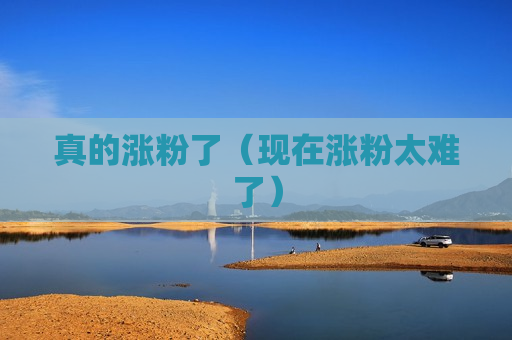 真的涨粉了（现在涨粉太难了）