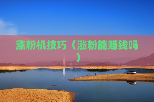 涨粉机技巧（涨粉能赚钱吗）