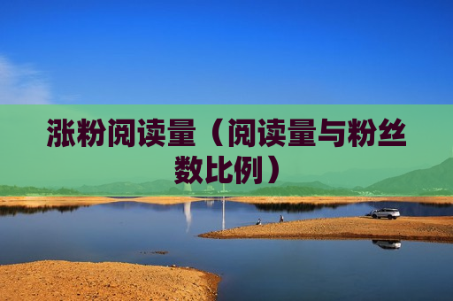 涨粉阅读量（阅读量与粉丝数比例）