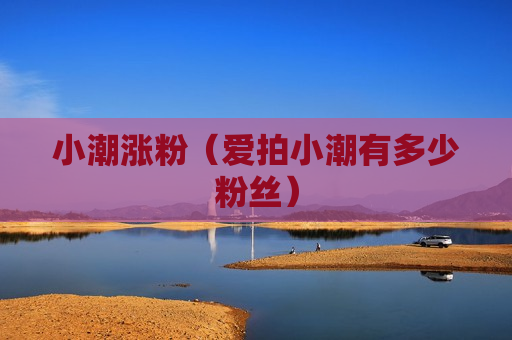 小潮涨粉（爱拍小潮有多少粉丝）