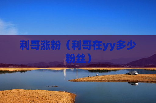 利哥涨粉（利哥在yy多少粉丝）