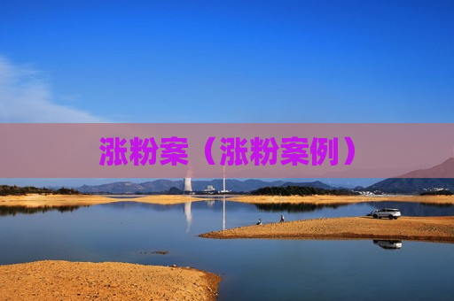 涨粉案（涨粉案例）