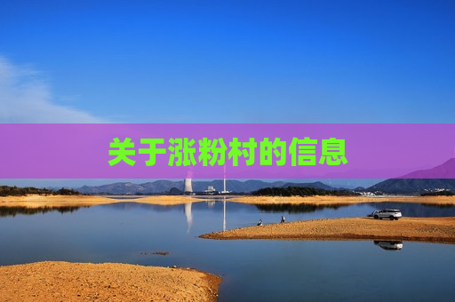 关于涨粉村的信息