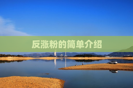 反涨粉的简单介绍